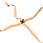 ICOM CPK2362SO - Orange Reflective Safety Strap for CPK2362 Chest Pack