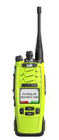 Tait TP9755 DMR Multiband Portable Radio Body - Foxtrot Communications